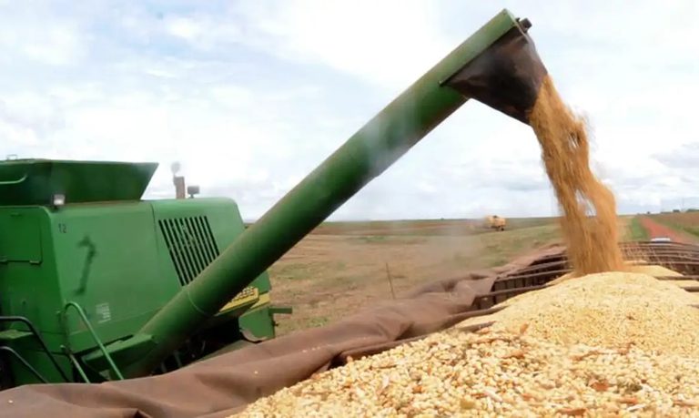 Com investimento recorde de R$ 516,2 bilhões, o Plano Safra 2025/2026 fortalece o agro com crédito ampliado, incentivos à sustentabilidade, modernização e renegociação de dívidas.