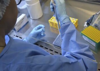 Anvisa autoriza início dos testes clínicos da vacina brasileira contra gripe aviária em humanos. Estudo avaliará segurança e resposta imunológica em 700 voluntários.