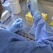 Anvisa autoriza início dos testes clínicos da vacina brasileira contra gripe aviária em humanos. Estudo avaliará segurança e resposta imunológica em 700 voluntários.