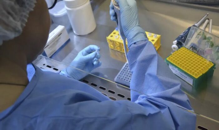 Anvisa autoriza início dos testes clínicos da vacina brasileira contra gripe aviária em humanos. Estudo avaliará segurança e resposta imunológica em 700 voluntários.