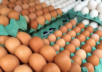 A inflação oficial do Brasil subiu 0,24% em junho, segundo o IBGE. Queda no preço do ovo de galinha (-6,58%) e outros alimentos ajudou a conter o avanço do índice, impactado principalmente pelo aumento da energia elétrica.