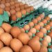 A inflação oficial do Brasil subiu 0,24% em junho, segundo o IBGE. Queda no preço do ovo de galinha (-6,58%) e outros alimentos ajudou a conter o avanço do índice, impactado principalmente pelo aumento da energia elétrica.
