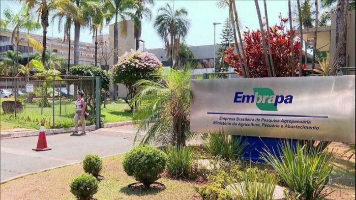 Vinte e quatro pesquisadores da Embrapa foram incluídos no ranking dos mais citados do mundo pela Research.com. Estudo avaliou cientistas de mais de 70 países em 26 áreas do conhecimento.
