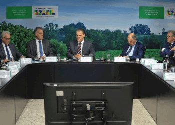 Governo Federal e Congresso discutem apoio a produtores do Rio Grande do Sul afetados por crises climáticas. Proposta prevê renegociação de dívidas, anistia e novo crédito rural.