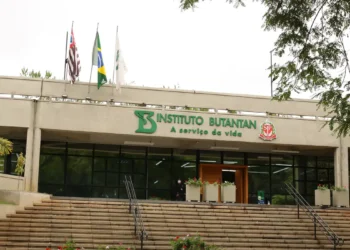 Instituto Butantan inicia testes em humanos da vacina brasileira contra a gripe aviária H5N8. Estudo visa prevenir pandemia. Testes envolvem 700 voluntários.