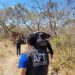 Auditoria do Ministério do Trabalho resgata 18 trabalhadores em condições degradantes em carvoarias de Ubaí, no Norte de Minas. Denúncias podem ser feitas via Sistema Ipê.