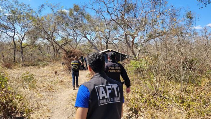 Auditoria do Ministério do Trabalho resgata 18 trabalhadores em condições degradantes em carvoarias de Ubaí, no Norte de Minas. Denúncias podem ser feitas via Sistema Ipê.
