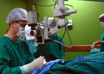 Câncer de intestino é o terceiro mais frequente no Brasil e vitimou Preta Gil. Especialistas alertam para rastreamento precoce e fatores de risco como sedentarismo e alimentação desequilibrada.