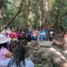 Justiça Federal determina prazo de 30 dias para União apresentar cronograma de titulação do território da comunidade quilombola Kulumbú do Patuazinho, no Amapá. Decisão reconhece ameaças e destruição de espaços sagrados por invasores.