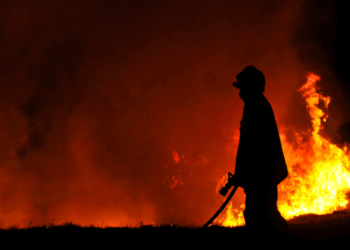 Corpo de Bombeiros do ES inicia curso de combate a incêndios florestais após 15 anos. Ação faz parte do PREVINES e conta com apoio do Ministério Público do Estado.