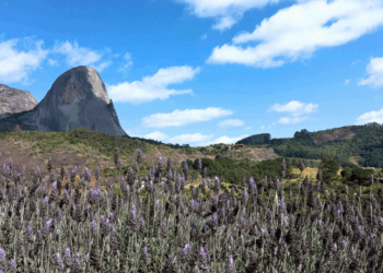 Espírito Santo registra recordes de frio com mínima de 4,8°C em Aracê. Vila Velha e Vitória tiveram as temperaturas mais baixas do ano. Instabilidades devem trazer chuva até sexta-feira.