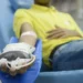 Mapeamento mostra que famílias enfrentam dificuldades para administrar tratamento intravenoso da hemofilia em casa. Associação pede ampliação do emicizumabe no SUS para crianças pequenas.