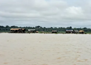Levantamento da Repam-Brasil e do Instituto Conviva expõe condições degradantes enfrentadas por trabalhadores do garimpo ilegal na Amazônia, incluindo doenças, abusos, mortes e tráfico de pessoas.