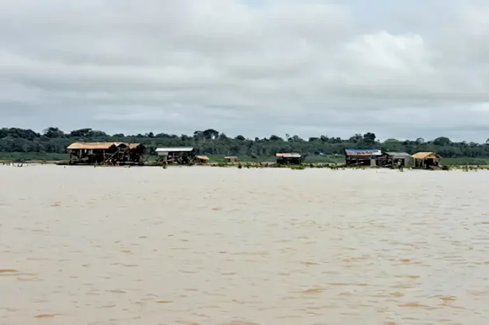 Levantamento da Repam-Brasil e do Instituto Conviva expõe condições degradantes enfrentadas por trabalhadores do garimpo ilegal na Amazônia, incluindo doenças, abusos, mortes e tráfico de pessoas.