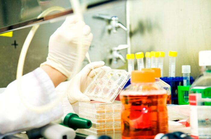 Projeto de lei no Senado propõe isentar do Imposto de Importação medicamentos e insumos usados em pesquisas sobre o câncer. Iniciativa quer impulsionar avanços na oncologia e reduzir custos científicos no Brasil.