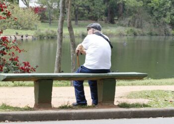 No primeiro semestre de 2025, o Senado aprovou 140 matérias legislativas, incluindo leis e PECs que ampliam direitos sociais, fortalecem a saúde pública e promovem segurança para idosos, mulheres e crianças.