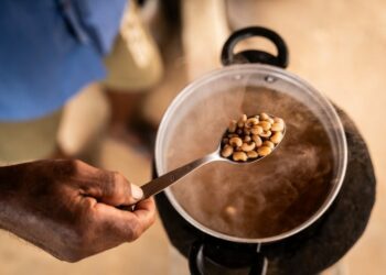 Brasil deve sair novamente do Mapa da Fome da ONU. Queda histórica na insegurança alimentar é atribuída ao Bolsa Família e à geração de empregos.