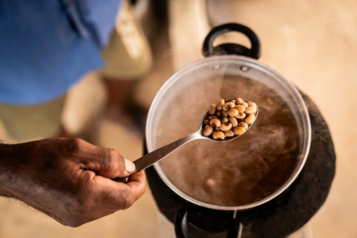 Brasil deve sair novamente do Mapa da Fome da ONU. Queda histórica na insegurança alimentar é atribuída ao Bolsa Família e à geração de empregos.