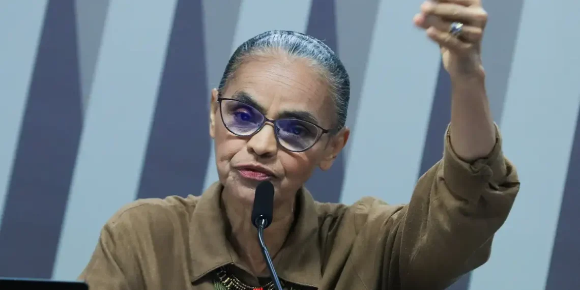 Ministra Marina Silva afirma que Brasil voltou a ser potência ambiental, com queda no desmatamento, ações contra incêndios e incentivos à agricultura sustentável.