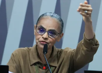 Ministra Marina Silva afirma que Brasil voltou a ser potência ambiental, com queda no desmatamento, ações contra incêndios e incentivos à agricultura sustentável.