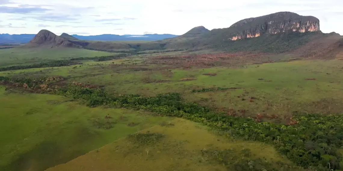 BNDES destina até R$ 150 milhões do Fundo Amazônia para combater incêndios no Cerrado e Pantanal. Projeto vai equipar bombeiros e brigadas com veículos, drones e kits especializados.
