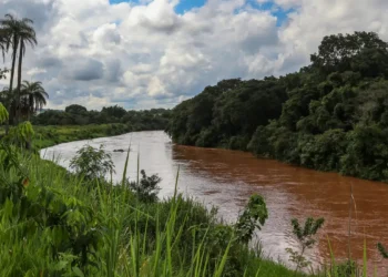 ANM eleva para nível 2 emergência em barragem em Brumadinho. Dez famílias estão em área de risco; evacuação preventiva será realizada.