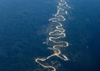 Operação Asfixia, realizada em junho, destruiu pistas clandestinas, acampamentos, aeronaves e equipamentos usados por garimpeiros ilegais na Terra Yanomami. Ação envolveu órgãos federais e estaduais e prepara novas fases de combate.