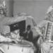 Estação República, em São Paulo, recebe exposição interativa do Projeto Centenários em homenagem a Luiz Gonzaga, o Rei do Baião, com música, cultura nordestina e experiências sensoriais.
