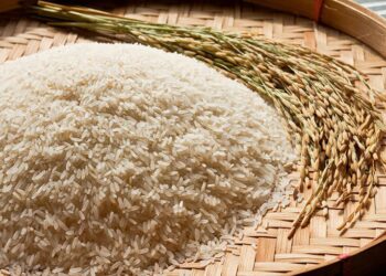 Em leilões de Contrato de Opção de Venda, a Conab negociou 109,2 mil toneladas de arroz, garantindo aos produtores venda futura com preço justo e reforçando os estoques públicos.