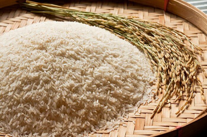 Em leilões de Contrato de Opção de Venda, a Conab negociou 109,2 mil toneladas de arroz, garantindo aos produtores venda futura com preço justo e reforçando os estoques públicos.