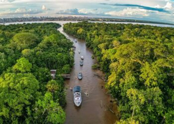 Secom lança consulta pública até 7 de setembro para reunir contribuições sobre sustentabilidade do jornalismo ambiental e na Amazônia, visando proteger comunicadores e fortalecer a liberdade de imprensa.