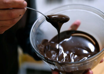 Pesquisa publicada na Nature Microbiology mostra que a combinação de bactérias e fungos na fermentação do cacau é determinante para o sabor do chocolate, permitindo desenvolvimento de notas frutadas e florais.