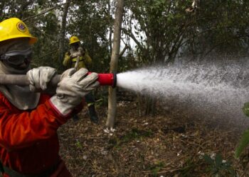 Brasil reduz focos de calor em 56,8% em julho de 2025. Pantanal e Amazônia registram quedas históricas. Governo investe em prevenção com brigadistas, equipamentos e novas políticas.
