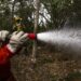Brasil reduz focos de calor em 56,8% em julho de 2025. Pantanal e Amazônia registram quedas históricas. Governo investe em prevenção com brigadistas, equipamentos e novas políticas.