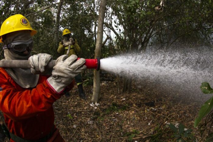 Brasil reduz focos de calor em 56,8% em julho de 2025. Pantanal e Amazônia registram quedas históricas. Governo investe em prevenção com brigadistas, equipamentos e novas políticas.