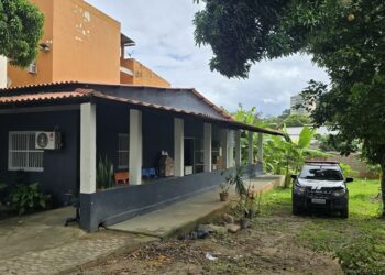 Polícia Civil do ES, com apoio da Prefeitura e Guarda Municipal, resgatou 11 aves silvestres, dois cães e dois jabutis em Vila Velha. Proprietário foi autuado por maus-tratos e posse ilegal.