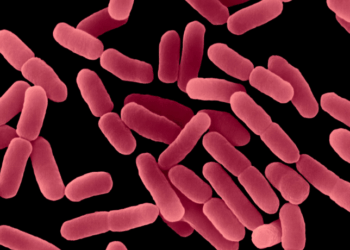 Estudo realizado em 104 hospitais no Brasil revela que 20% erram na dosagem de antibióticos e 88% recorrem ao uso empírico, aumentando risco de resistência bacteriana.