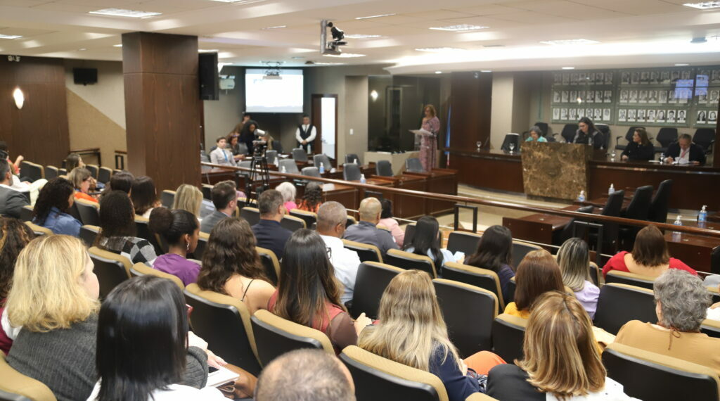 MPES promove XII Encontro da Lei Maria da Penha e debate orçamento público para políticas de proteção às mulheres capixabas. Veja os destaques do evento.