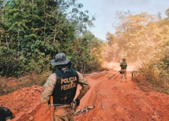 Operação Sentinelas da Amazônia, da PF, completa dois meses em Rondônia com redução de 90% dos incêndios e prisões por crimes ambientais.
