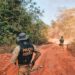 Operação Sentinelas da Amazônia, da PF, completa dois meses em Rondônia com redução de 90% dos incêndios e prisões por crimes ambientais.
