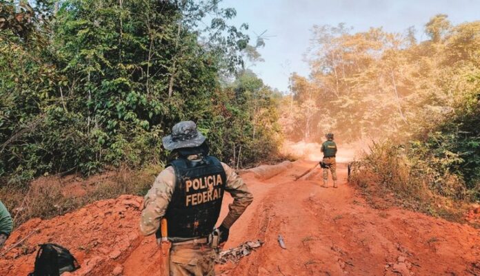 Operação Sentinelas da Amazônia, da PF, completa dois meses em Rondônia com redução de 90% dos incêndios e prisões por crimes ambientais.