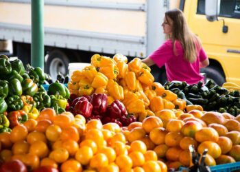 Governo Federal lança AgroAmigo no Centro-Oeste com R$ 500 milhões em crédito para agricultores familiares. Programa já financiou R$ 6,5 milhões em contratos e deve alcançar 100 mil famílias no Brasil.