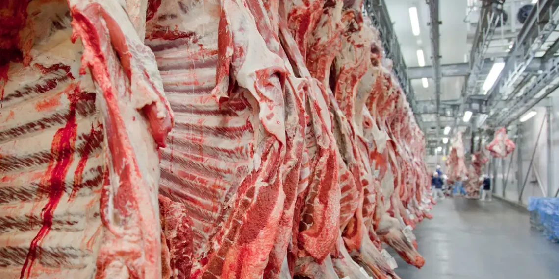 No mês anterior à tarifa de 50% imposta pelos EUA, o Brasil exportou recorde de carne bovina: 313,6 mil toneladas e US$ 1,67 bi. China foi o principal destino.