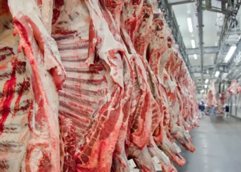 No mês anterior à tarifa de 50% imposta pelos EUA, o Brasil exportou recorde de carne bovina: 313,6 mil toneladas e US$ 1,67 bi. China foi o principal destino.