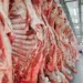 No mês anterior à tarifa de 50% imposta pelos EUA, o Brasil exportou recorde de carne bovina: 313,6 mil toneladas e US$ 1,67 bi. China foi o principal destino.