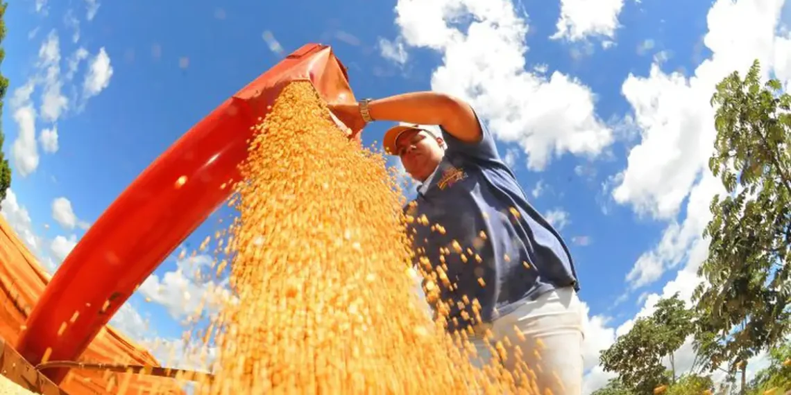 Brasil registra menor superávit comercial para julho desde 2022. Queda nas commodities e aumento das importações impactam saldo da balança em 2025.