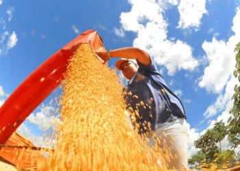Brasil registra menor superávit comercial para julho desde 2022. Queda nas commodities e aumento das importações impactam saldo da balança em 2025.