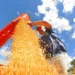 Brasil registra menor superávit comercial para julho desde 2022. Queda nas commodities e aumento das importações impactam saldo da balança em 2025.