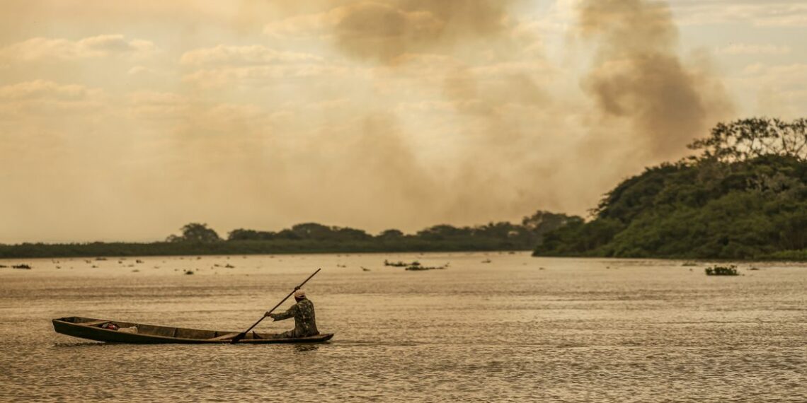 queimadas no Brasil, monitoramento de queimadas, MapBiomas, Cerrado, Amazônia, área queimada, incêndios florestais, meio ambiente, fiscalização ambiental, proteção de biomas, desmatamento, vegetação nativa, prevenção de queimadas