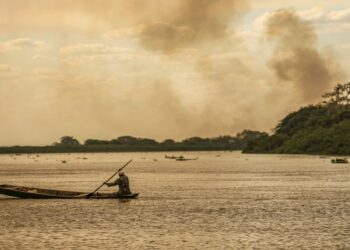 queimadas no Brasil, monitoramento de queimadas, MapBiomas, Cerrado, Amazônia, área queimada, incêndios florestais, meio ambiente, fiscalização ambiental, proteção de biomas, desmatamento, vegetação nativa, prevenção de queimadas